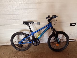 Bicicleta Infantil 20