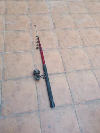 Caña de pescar con carrete