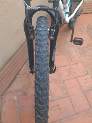 Bicicleta Rockrider RR 24 Aluminio