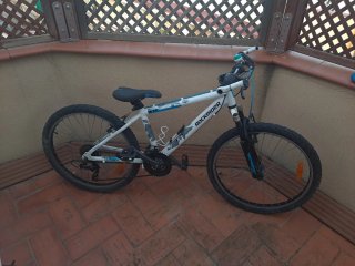 Bicicleta Rockrider RR 24 Aluminio