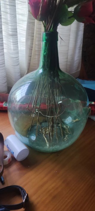 Botella antigua de vidrio verde
