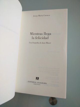 Mientras llega la felicidad