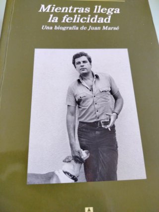 Mientras llega la felicidad