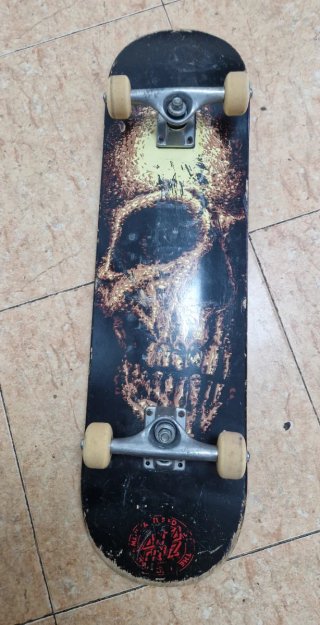 Skate Santa Cruz