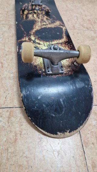 Skate Santa Cruz
