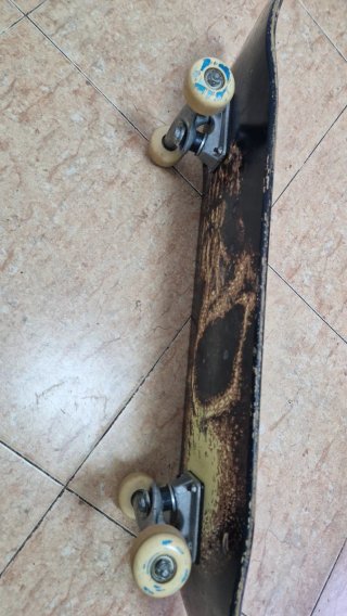 Skate Santa Cruz