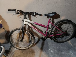 Bicicleta Niña Boomerang Village IV