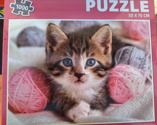Puzzles 1000 piezas