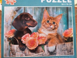 Puzzles 1000 piezas