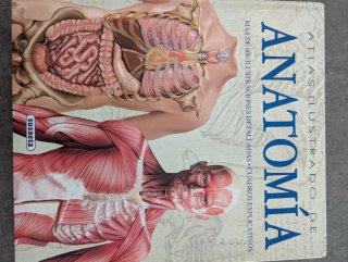 Atlas ilustrado de anatomía