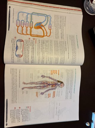 Biología y Geología 3º ESO. Libro del estudiant...