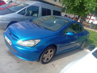 CABRIO 307