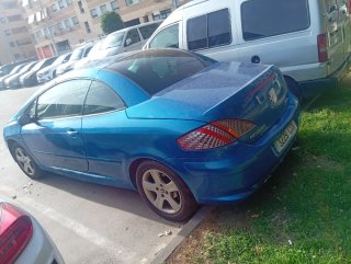 CABRIO 307