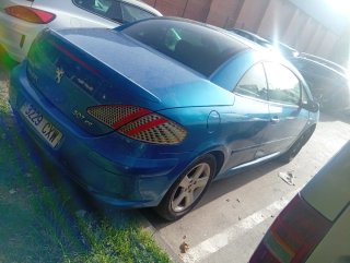 CABRIO 307