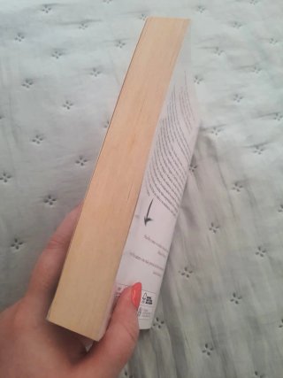Libro El vuelo de la mariposa