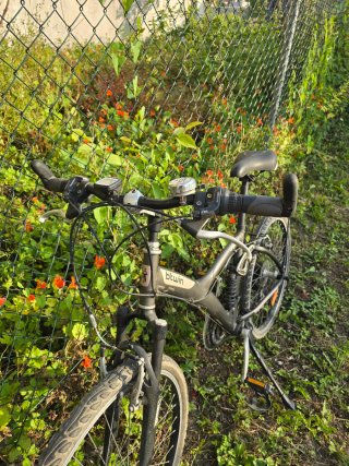 Bicicleta hibrida BTWIN Original 7 + Extras