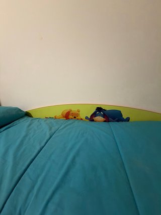 Cama nido