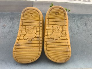 Zapato Feroz Talla M