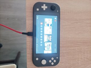 Nintendo Switch Lite Gris - ¡Ideal vacaciones!