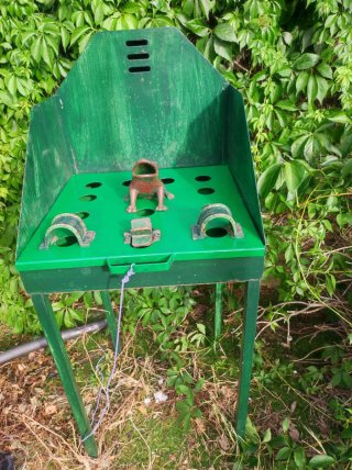 Juego de la Rana Tradicional