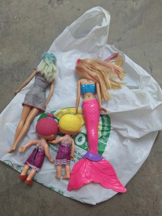 Lote Muñecas Barbie y Bratz etc + Ropita y mas