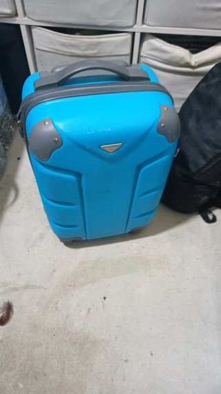 Maletas de mano verde