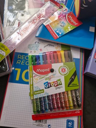 Lote material escolar: bolígrafos, rotulador, pega