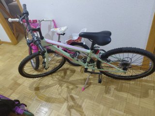 Bicicleta verde
