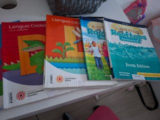 Lote Libros 4º Primaria Santillana