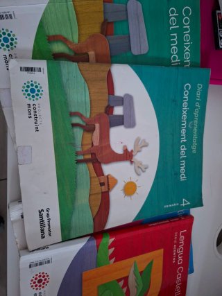Lote Libros 4º Primaria Santillana