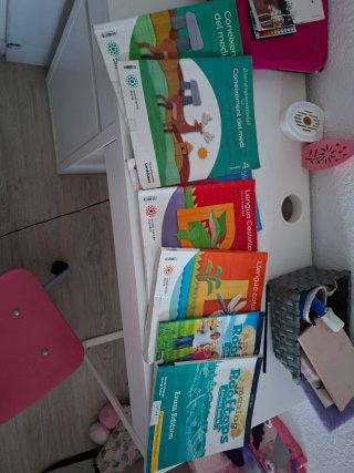Lote Libros 4º Primaria Santillana
