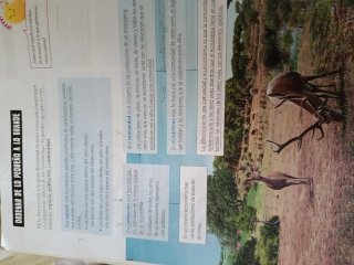 Ciencias de la Naturaleza 6, Tercer Ciclo Prima...