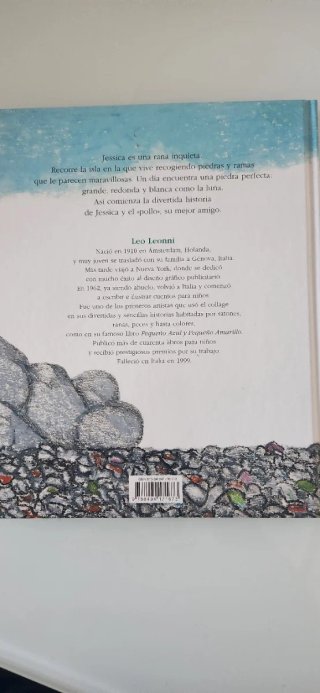 Una Piedra Extraordinaria