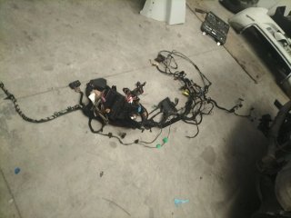 Cableado Seat Ibiza 6L TDI