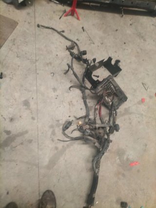 Cableado Seat Ibiza 6L TDI