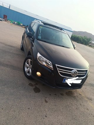 Volkswagen Tiguan 2010