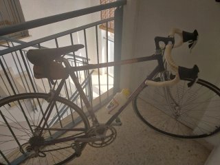 Bicicleta de carrera morada