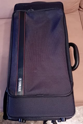 Saxo Alto Yamaha YAS-280 Lacado