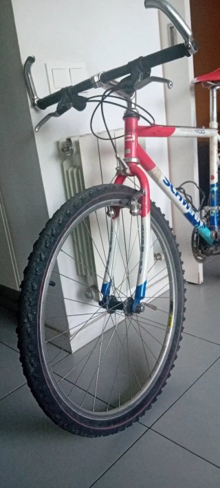Bicicleta Schwinn