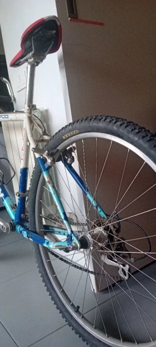 Bicicleta Schwinn