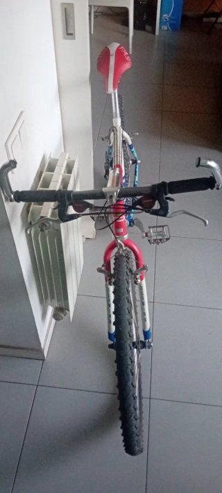 Bicicleta Schwinn