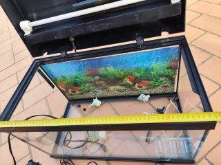 Acuario completo con accesorios