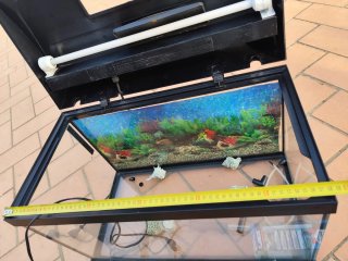 Acuario completo con accesorios