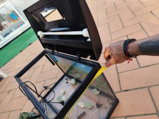 Acuario completo con accesorios