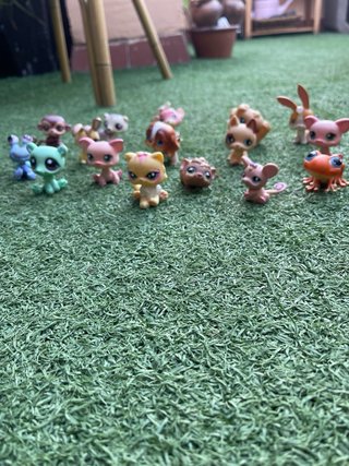Littlest Pet Shop Colección