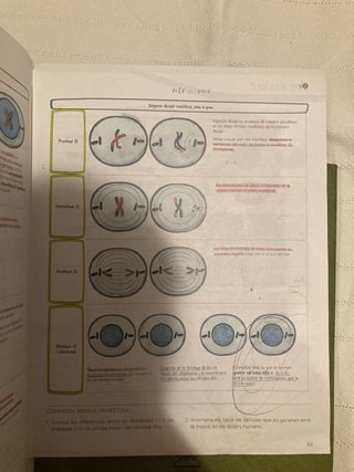 Libros Biología y Geo. 4 ESO, catalán Anaya, O.M.