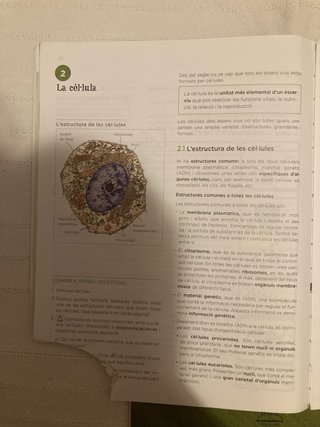 Libros Biología y Geo. 4 ESO, catalán Anaya, O.M.