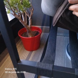 Sofá Terraza + Mesa Auxiliar