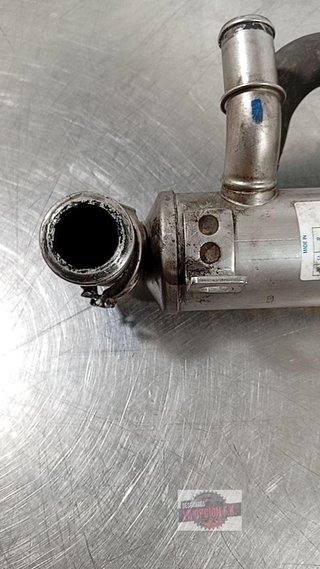 ENFRIADOR EGR Citroen Xsara Picasso (1999->)