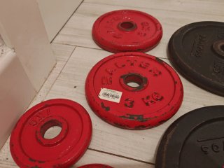 Lote Discos Hierro Salter/Domyos + Mancuernas
